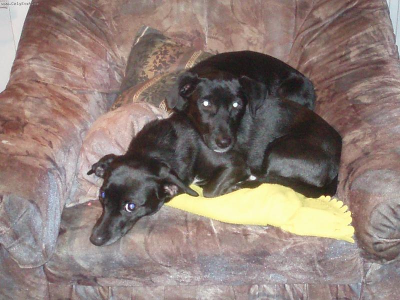 Foto: H��������j����������