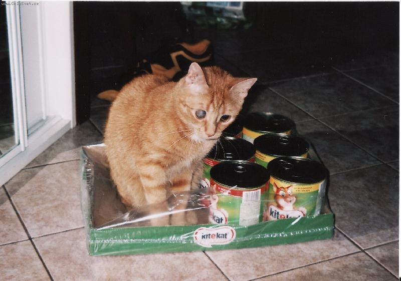 Foto: Bude ve�e�e!!