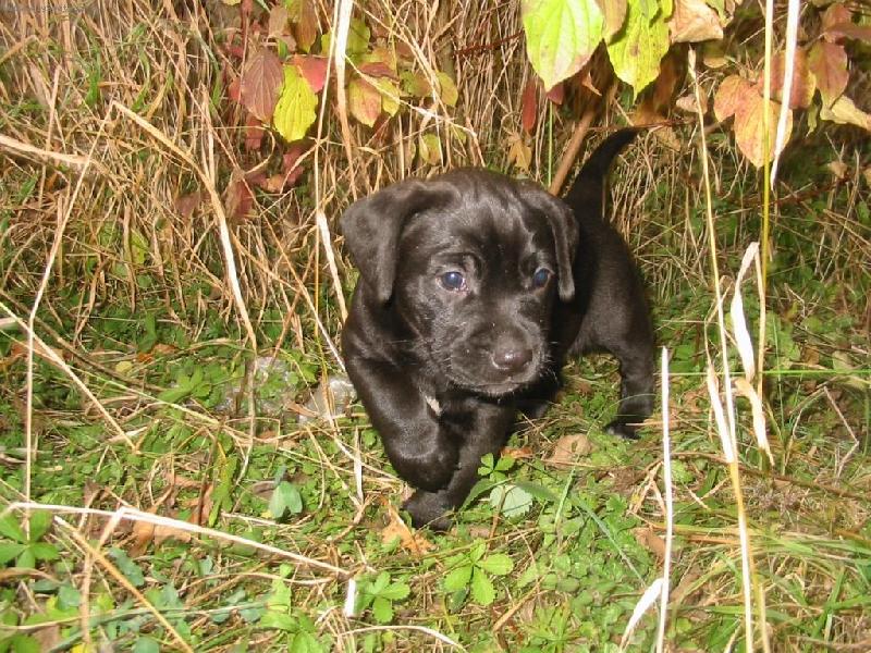 Foto: ralf�k-Ralf..krasavec