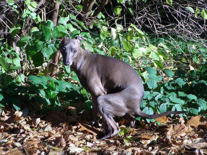 Foto: Nekoukej na m�!