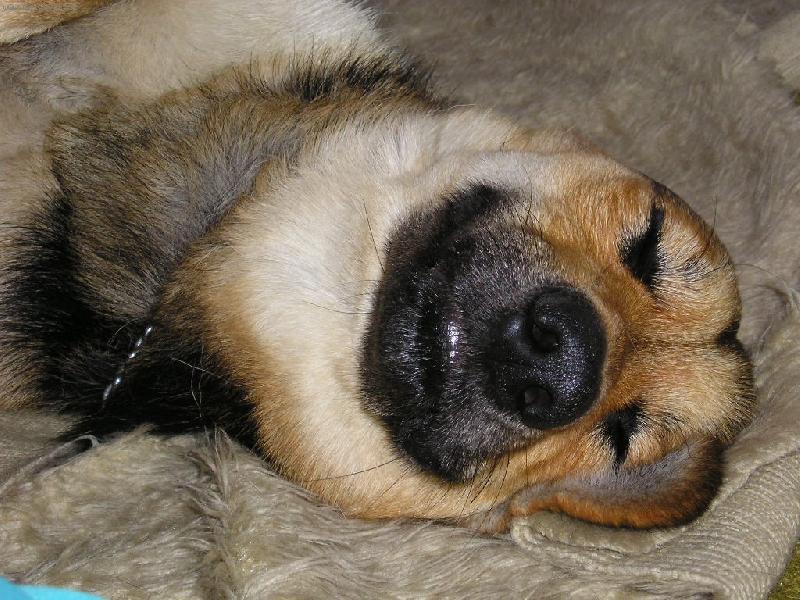 Foto: Miki-Odpo�inek