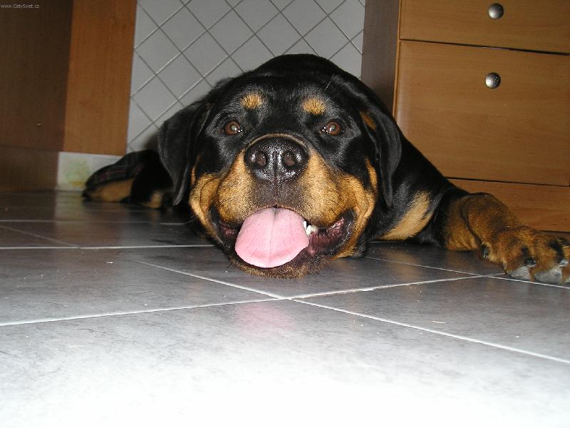 Foto: Mia