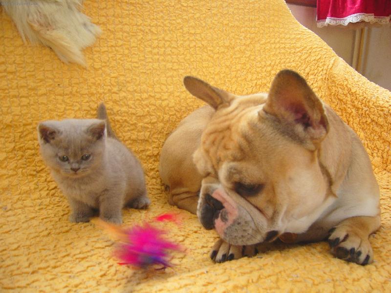 Foto: Fionka a Ar�i