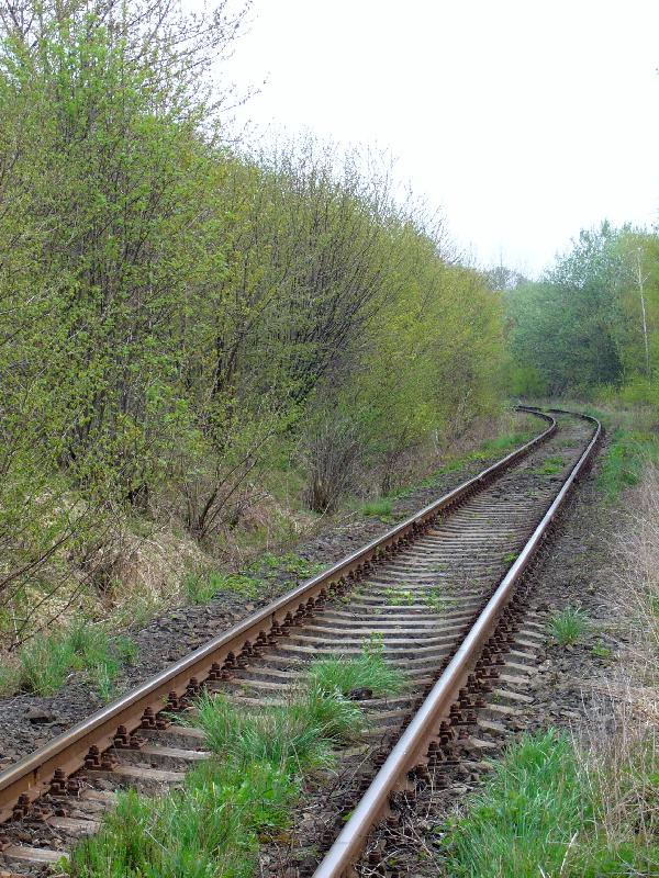 Foto: Nekone�n� d�lka