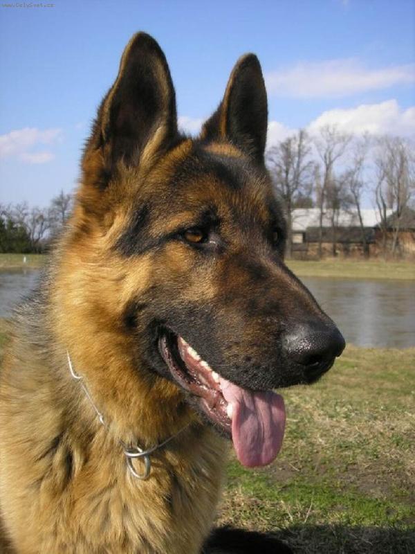 Foto: Artu�-=o)