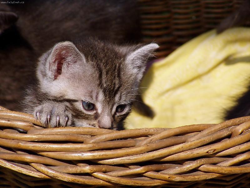 Foto: Tak jak to na tom sv�t� vypad�?-Prvn� v�lety na zahradu.