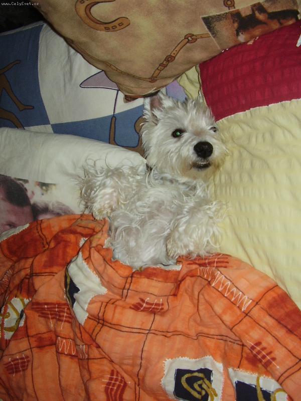 Foto: Vikise�ek-odpo�inek po ob�du