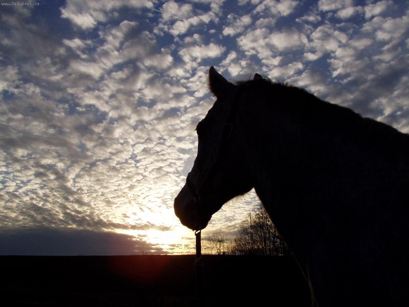 Foto: Zahled�n�...