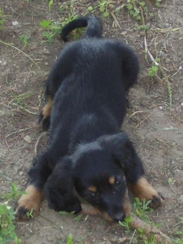 Foto: beru�ka-tak sem byla malink� a siln�