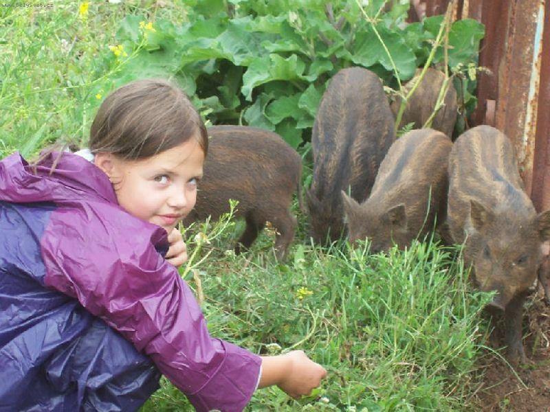 Foto: Mark�tka a divo��ci