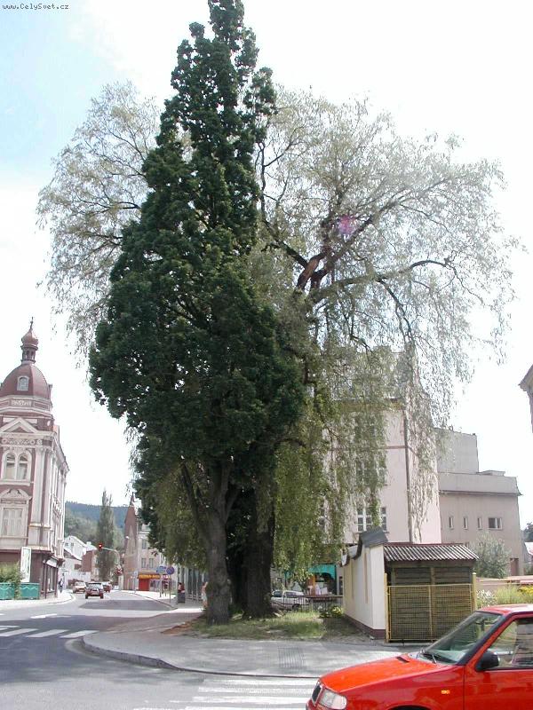 Foto: par��k u fary-pohled z par��ku k n�m�st�