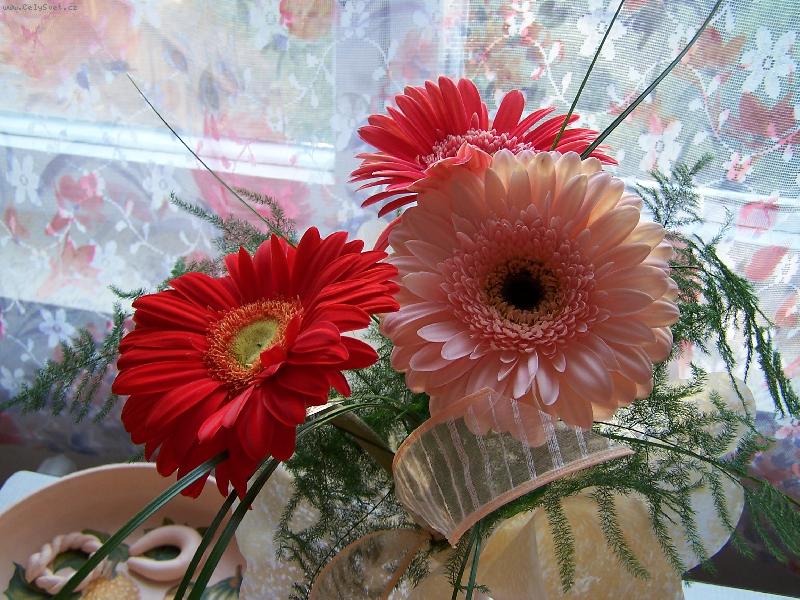 Foto: KYTI�KA K NAROZENIN�M-OD SYNA