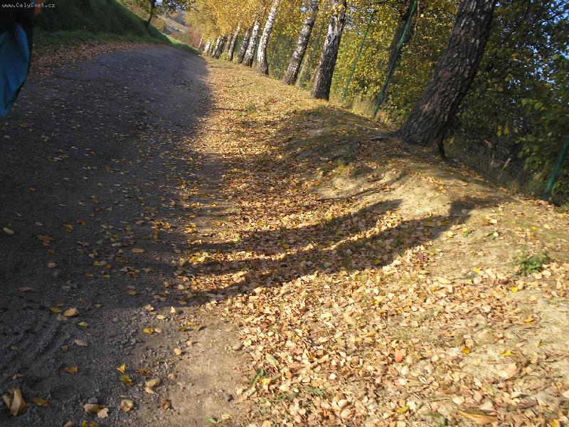 Foto: Dva ce st�nu