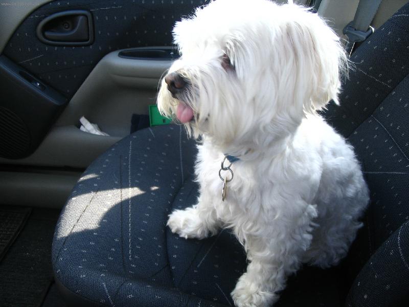 Foto: Monty cestovatel