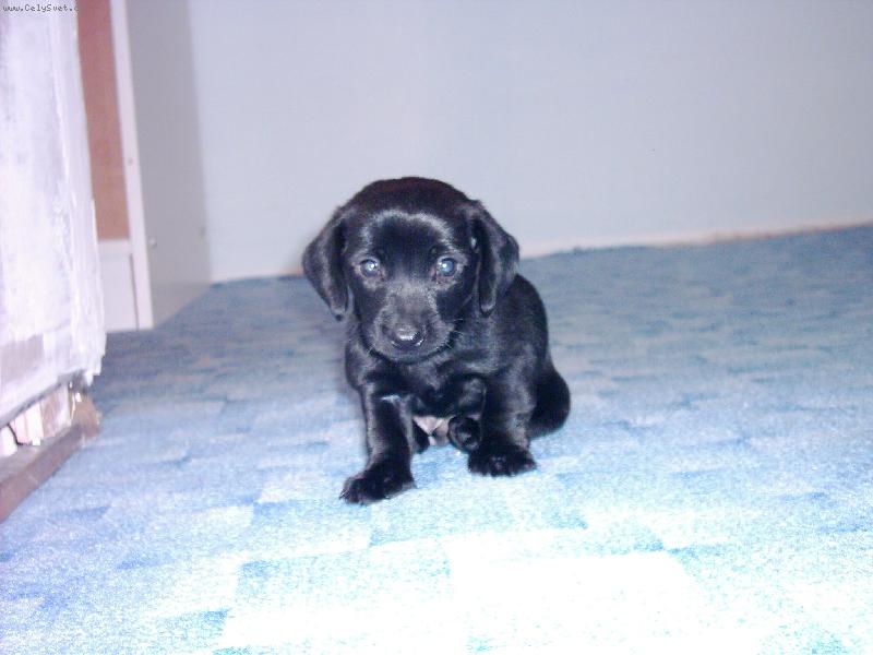 Foto: �mudl�k-Stra�n� r�d se fot�m