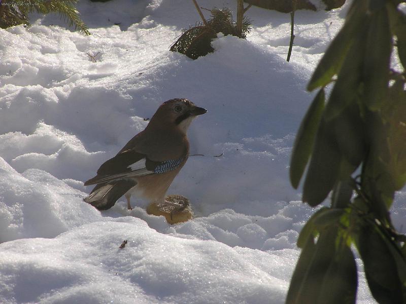 Foto: �lovek na sn�hu