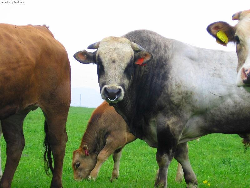 Foto: tak tomu ��k�m bejk...