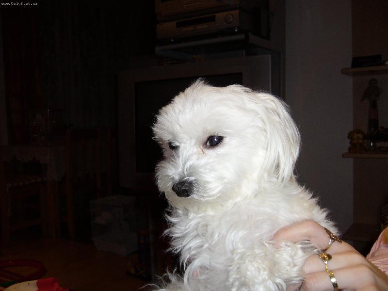 Foto: Dejsinka-4 roky