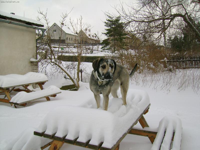 Foto: chy� si m�