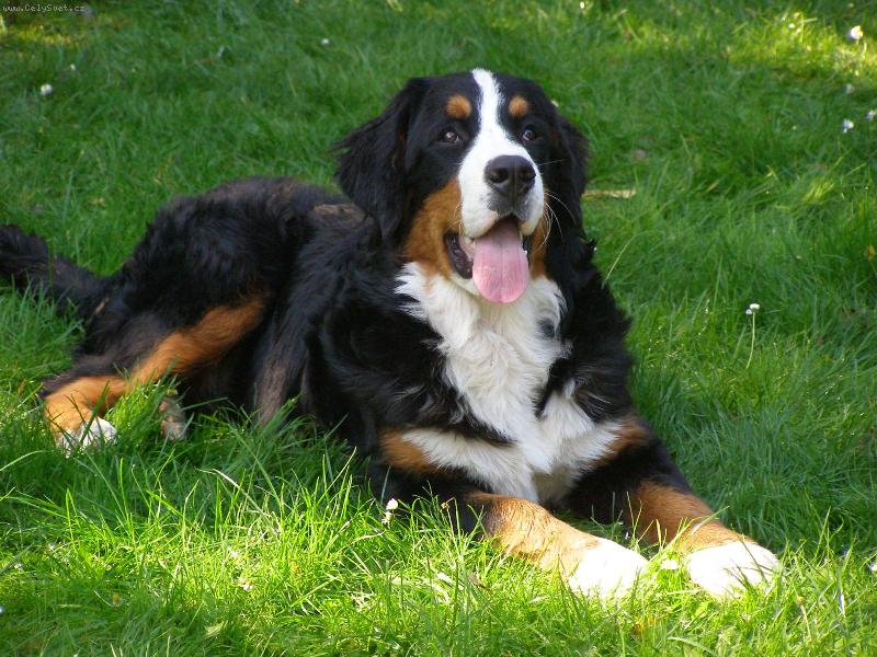 Foto: Elisa ze Stam��ic