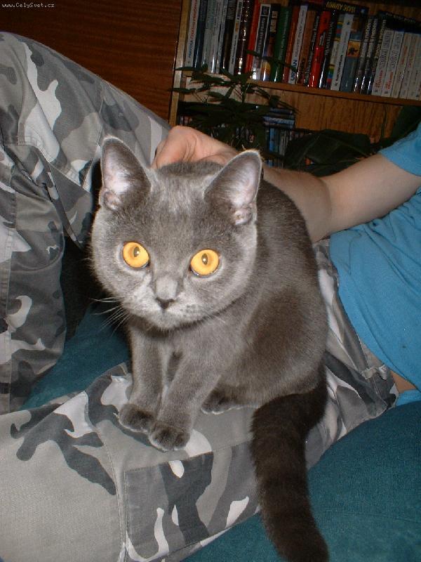 Foto: Deniska-M�m r�da sv�ho p�n��ka!