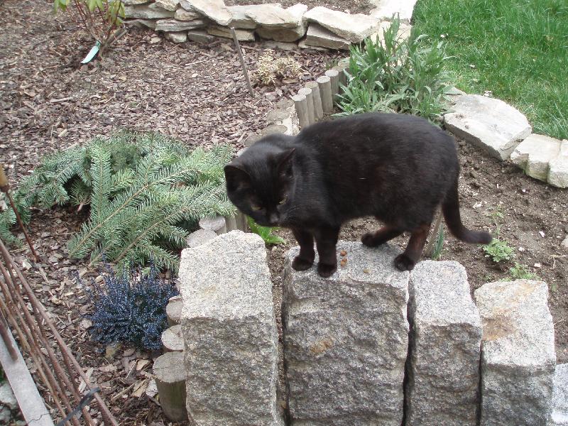 Foto: M�ca-Stup�nky v�t�z�?