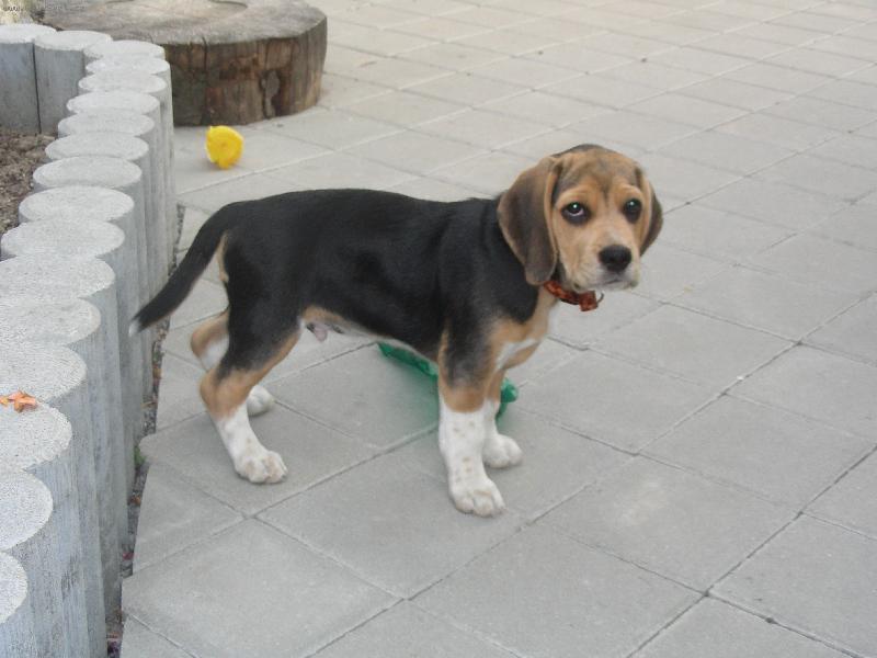 Foto: Tebe, �e m�m poslouchat???