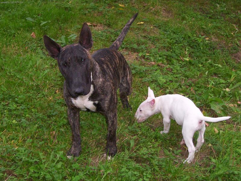 Foto: N�jak� probl�m\?\?\?