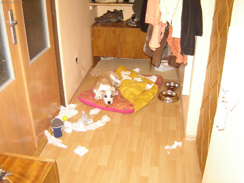 Foto: Gucci-Tro�ku jsem se nudil:-\)