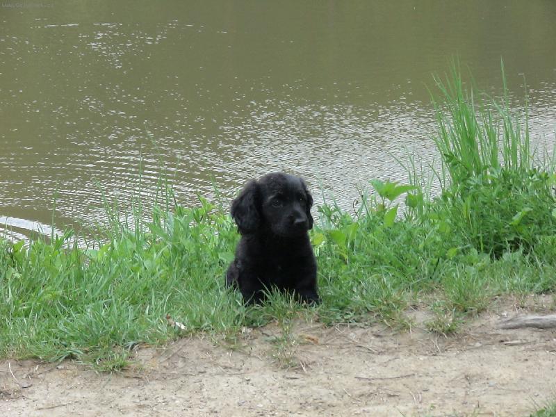 Foto: na�a �elzinka-musim poslu�ne sed�t, abych neskazila z�b�r