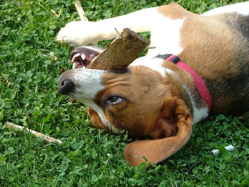 Foto: B�ra-dostanu ho