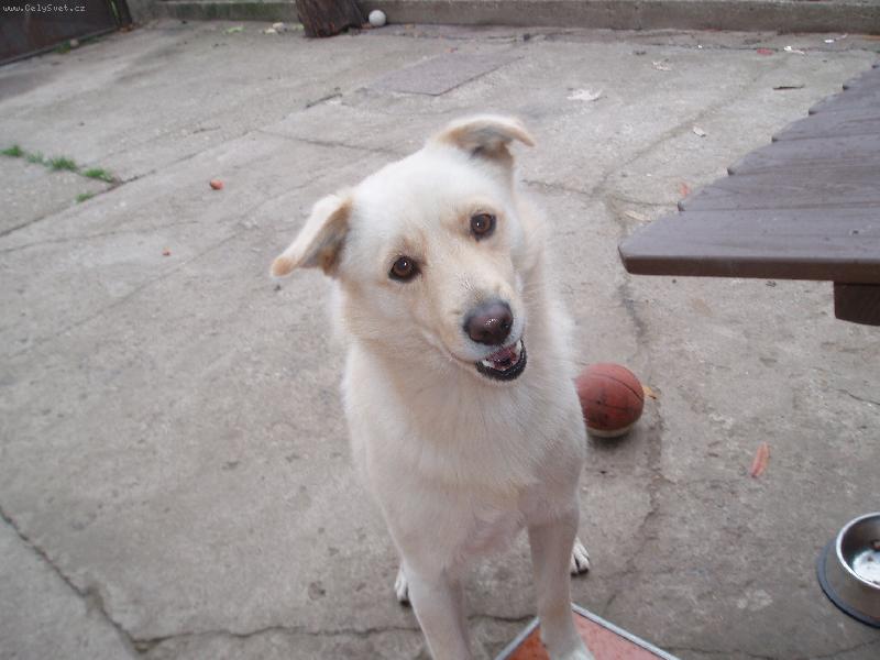 Foto: Jsem Ben��ek-Haf...