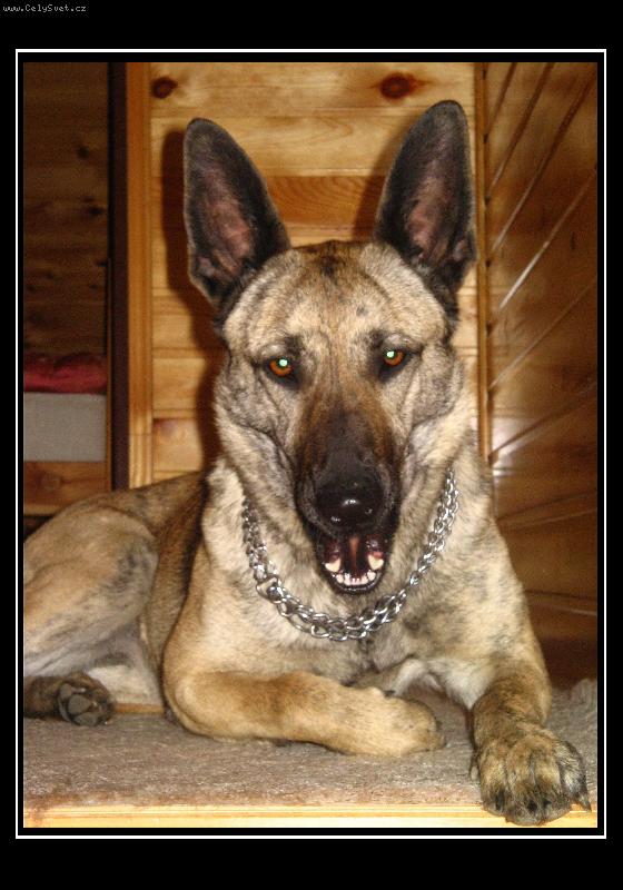 Foto: Koukej na m� zoubky :)