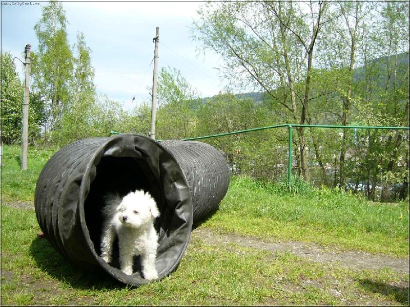 Foto: Jak se v�m l�b�m ?-J� a tunel