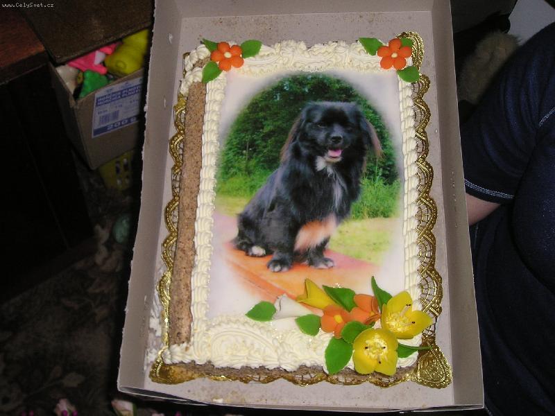 Foto: no nejsem k nakousnut�?-Kevin