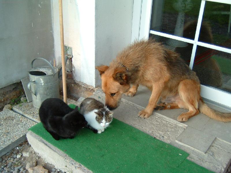 Foto: P�kn� von� !!!