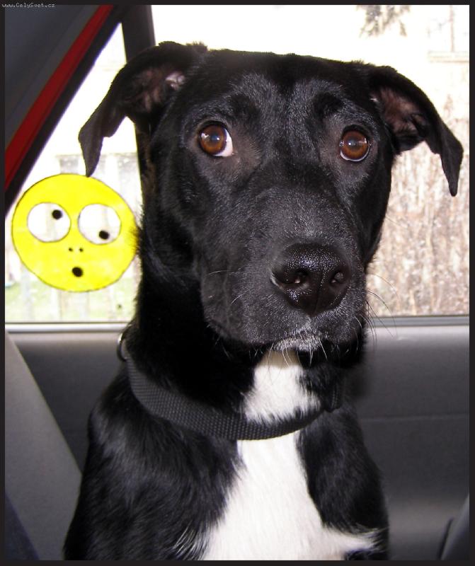 Foto: Trochu �ilh�m