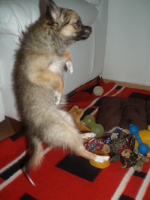 Foto: NELLY-Rann� rozcvi�ka