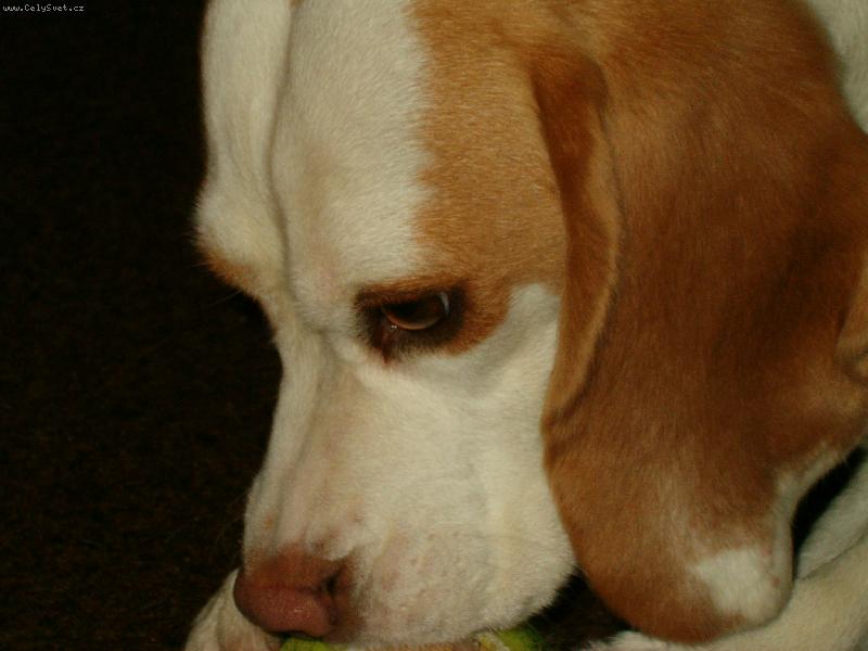 Foto: �much�much