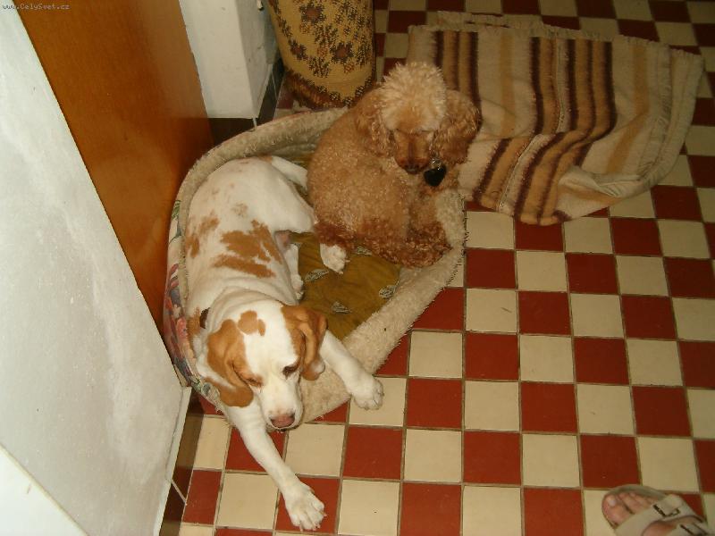 Foto: dv� v jednom:)