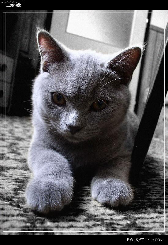 Foto: no neni nadhernej :)