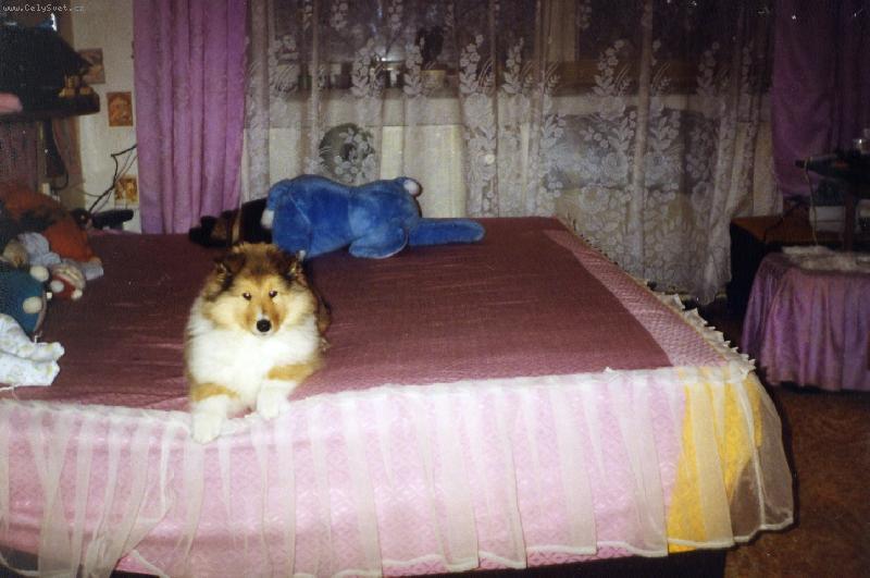 Foto: PS� BATOLE