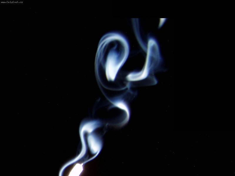 Foto: Labu� z kou�e