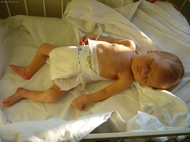 Foto: novoroze��tko