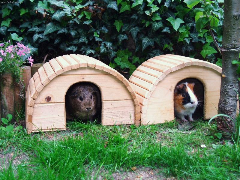 Foto: mor�ata na letn�m byt�-na�e Bar�a a Cec�lie