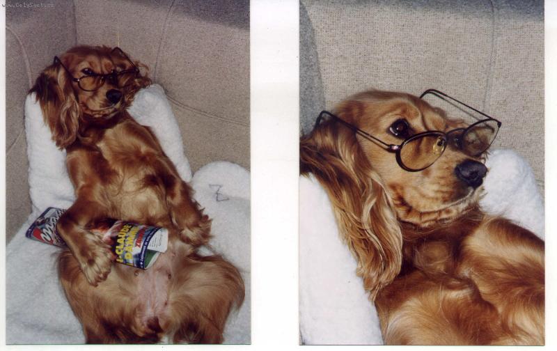 Foto: M�m ti n�co p�e��st ?-dv� foto kokr�paniela s br�lemi a �asopisem