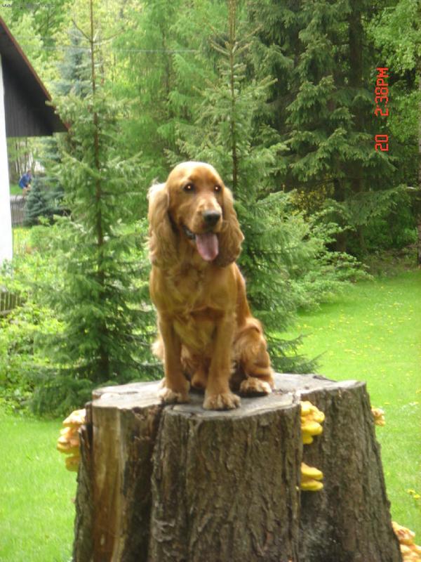 Foto: Fredie