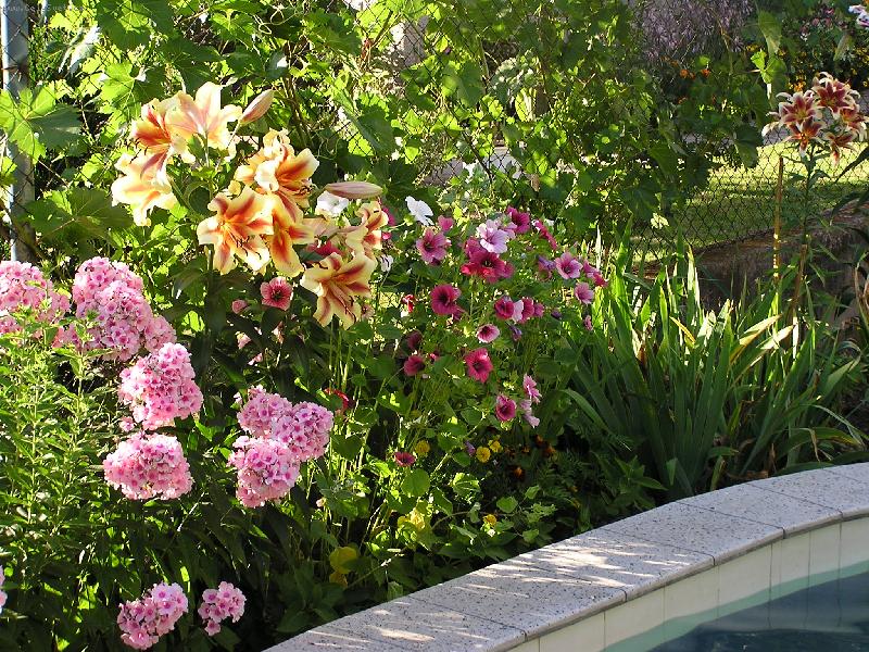 Foto: l�to v zahrad�