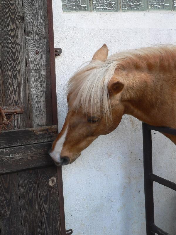 Foto: Grif-J� ty dve�e otev�u