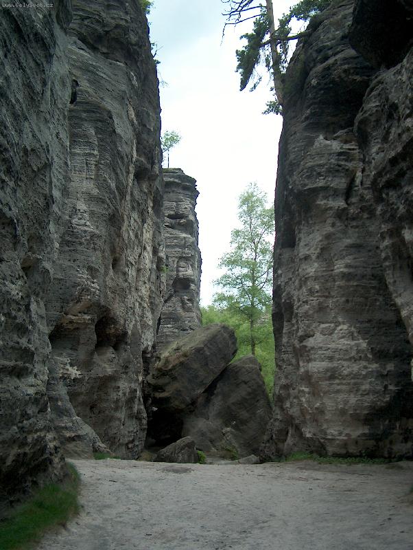 Foto: P�skovcov� st�ny - Tis�